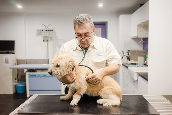 Monbulk Veterinary Checkups